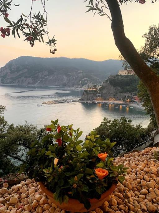Historic Downtown Home By The Sea With King Bed Monterosso al Mare Esterno foto