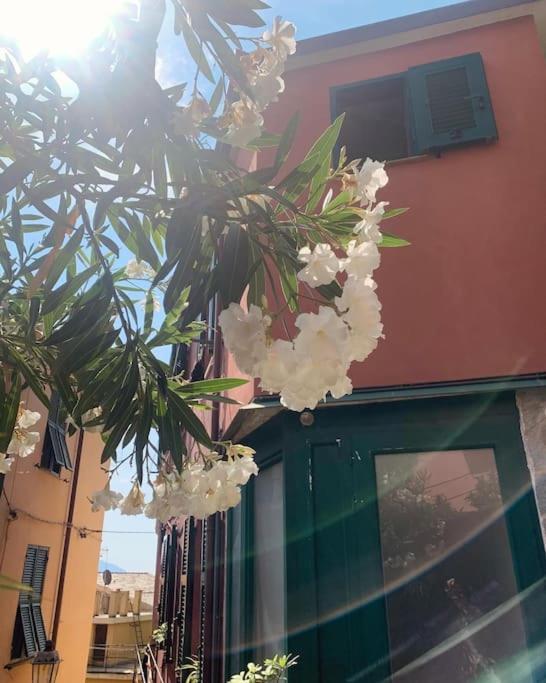 Historic Downtown Home By The Sea With King Bed Monterosso al Mare Esterno foto