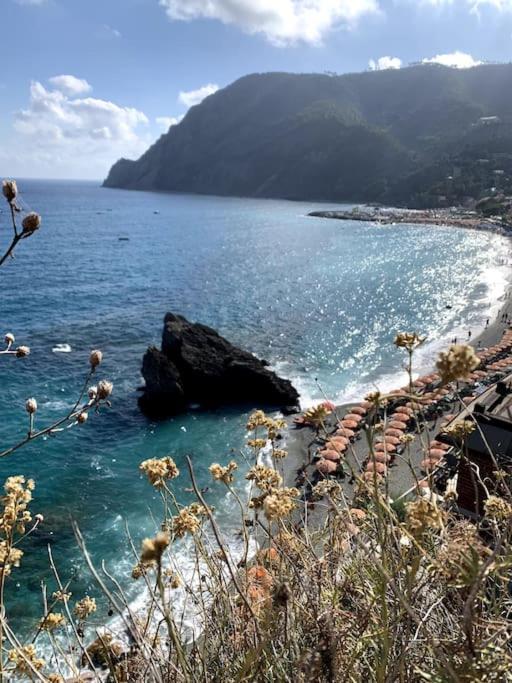 Historic Downtown Home By The Sea With King Bed Monterosso al Mare Esterno foto